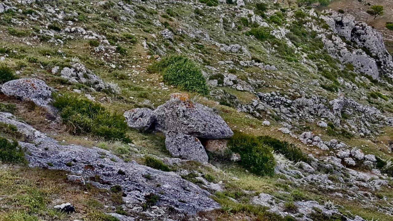 モンテ・サンタンジェロ Al Dolmen Bed & Breakfast エクステリア 写真